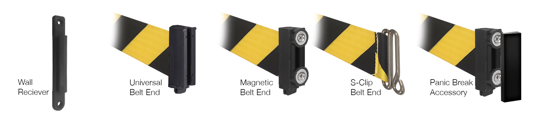 Belt Color